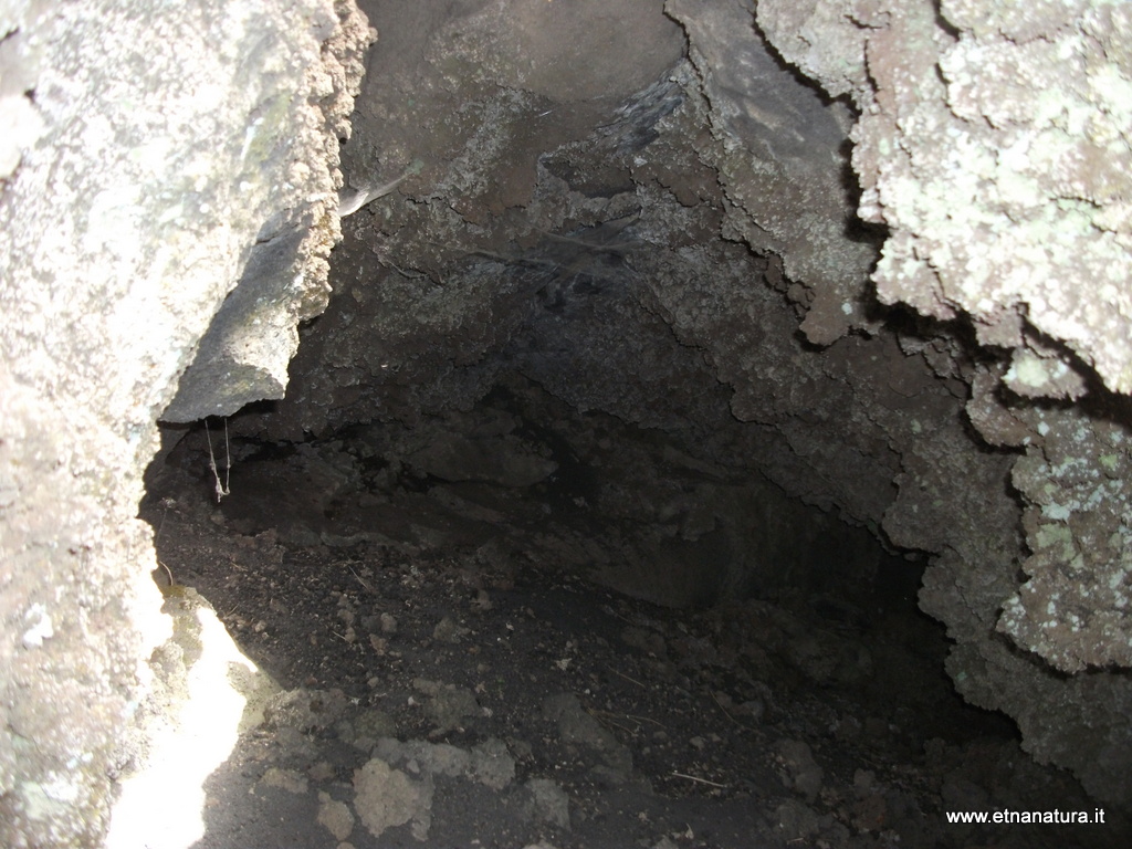 otte monte Gemmellaro-19-05-2013 10-38-58